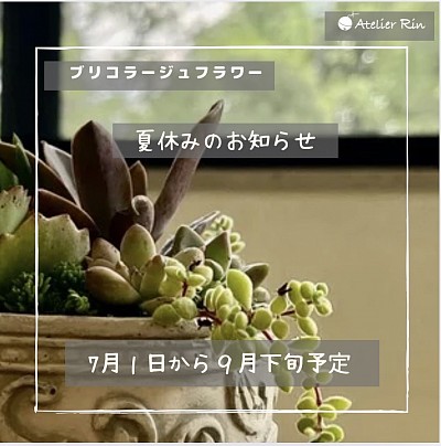 観葉植物のブリコラ