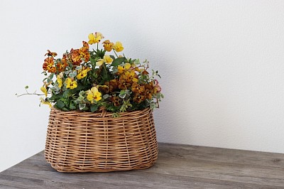 ビオラのバスケット