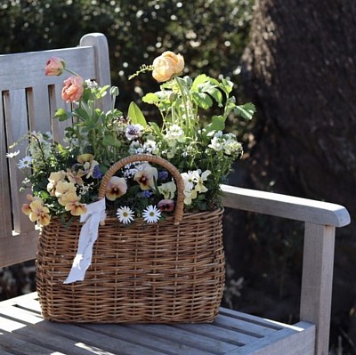 春のバスケット