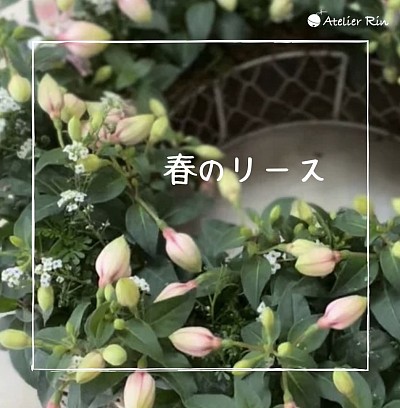 春のリース