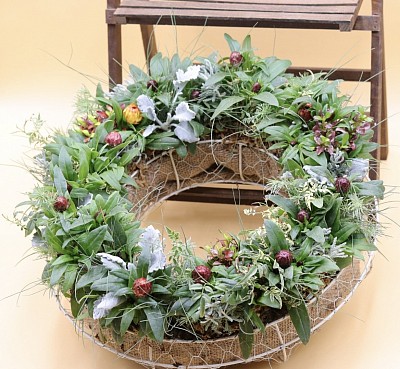 ブラクテアンサのリース