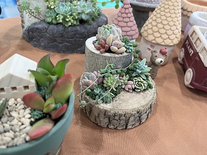 多肉の寄せ植え